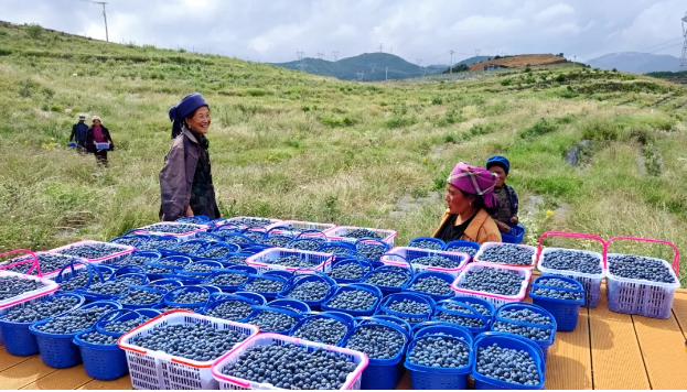 1724248573780470.png 77777777777777777.png