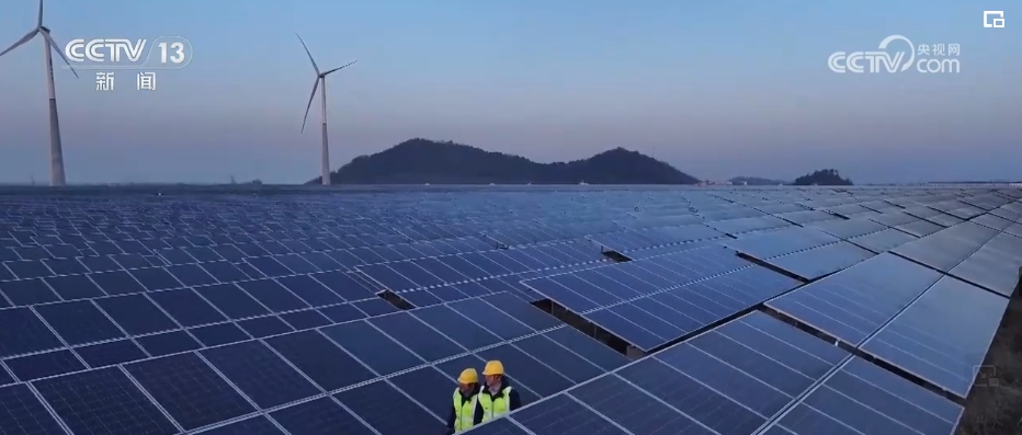 �й���888����(6008-VIP��֤)��վ-��¼���