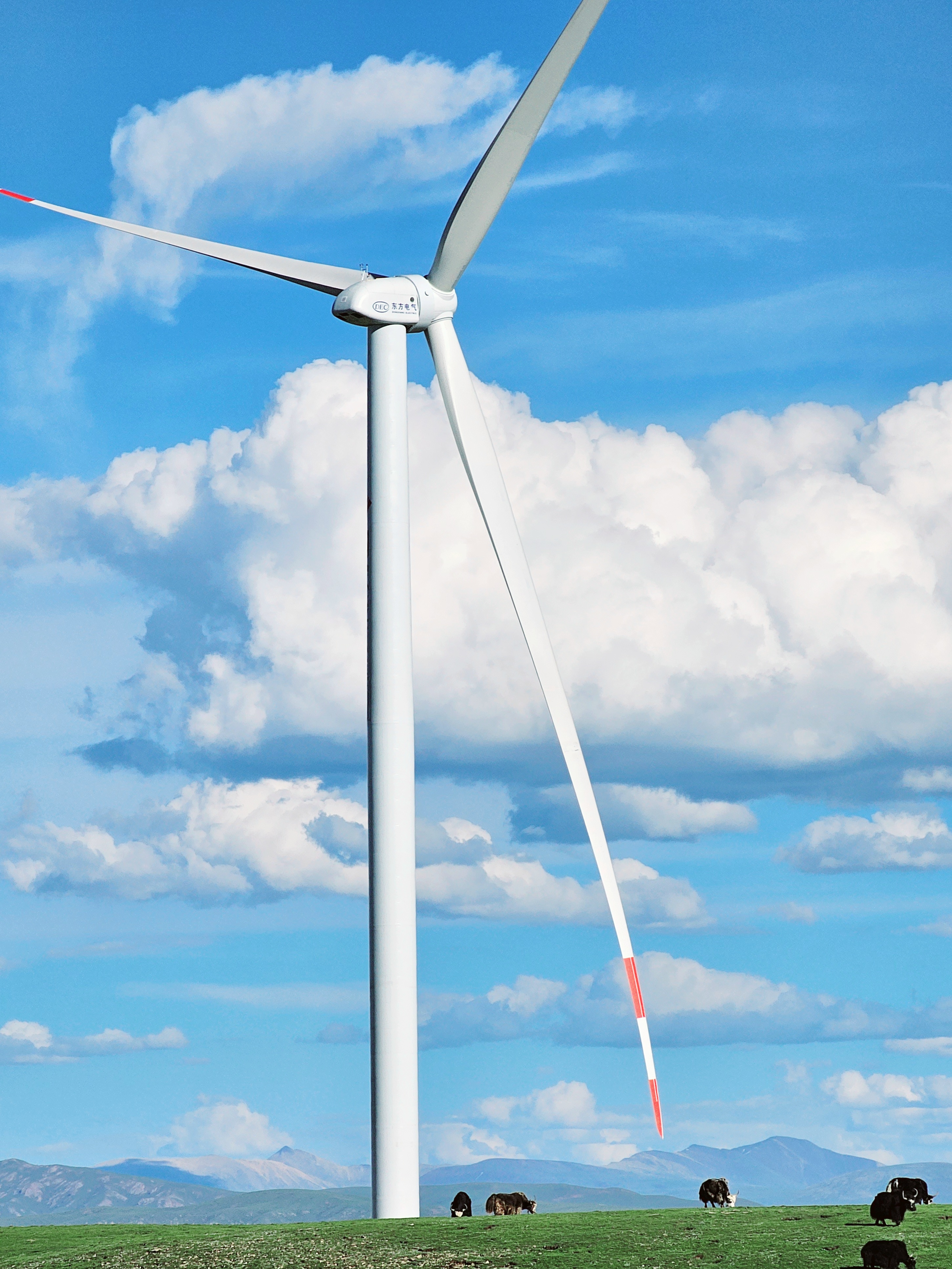 �й���888����(6008-VIP��֤)��վ-��¼���