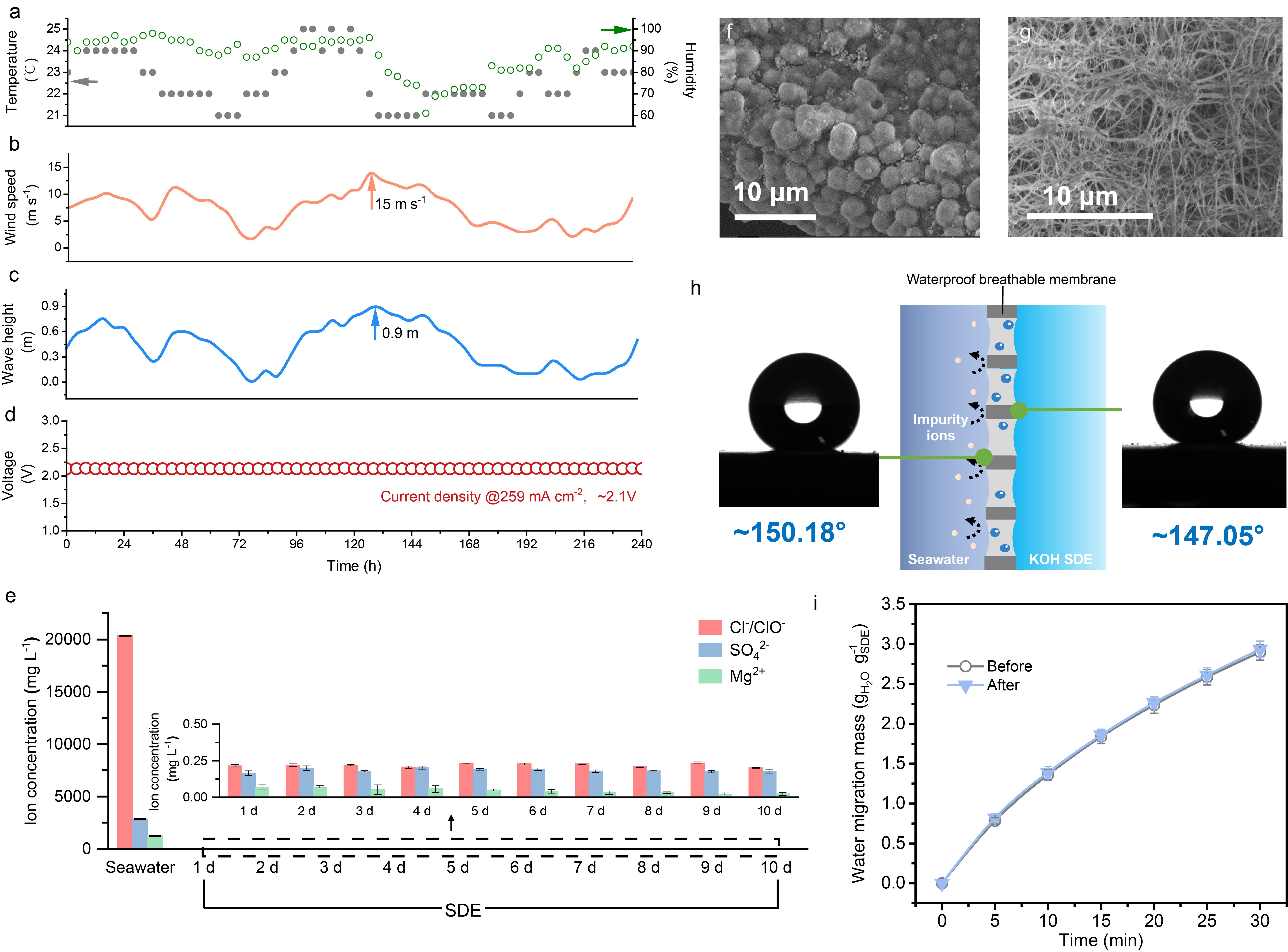 �й���888����(6008-VIP��֤)��վ-��¼���