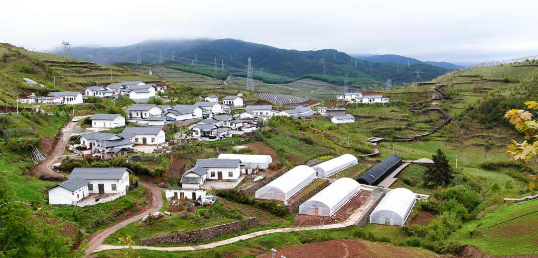 �й���888����(6008-VIP��֤)��վ-��¼���