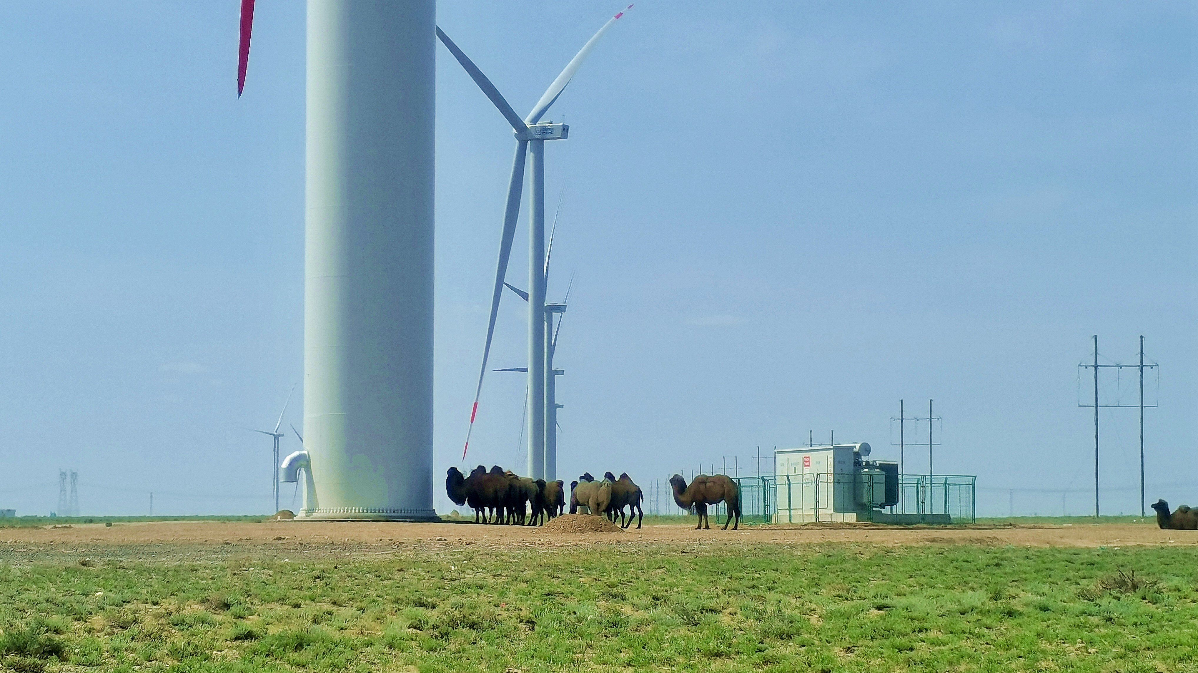 �й���888����(6008-VIP��֤)��վ-��¼���