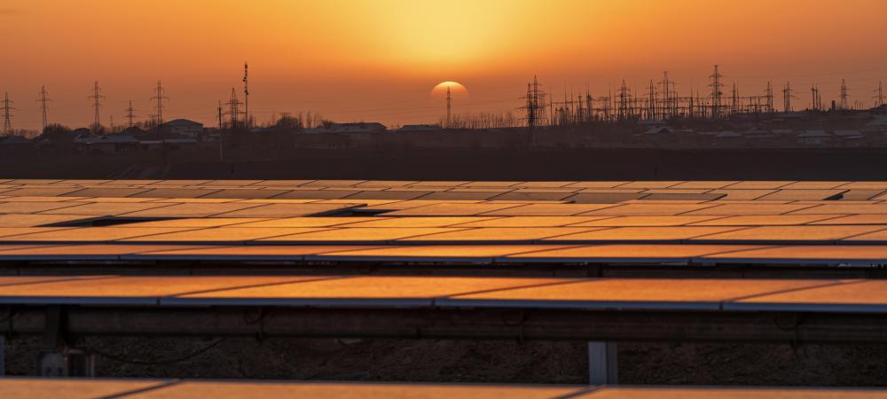 �й���888����(6008-VIP��֤)��վ-��¼���