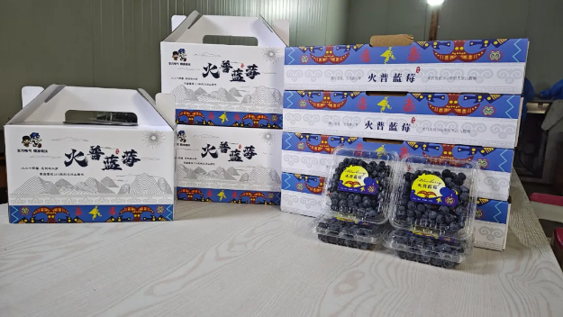 1724248546473665.png 666666666666.png