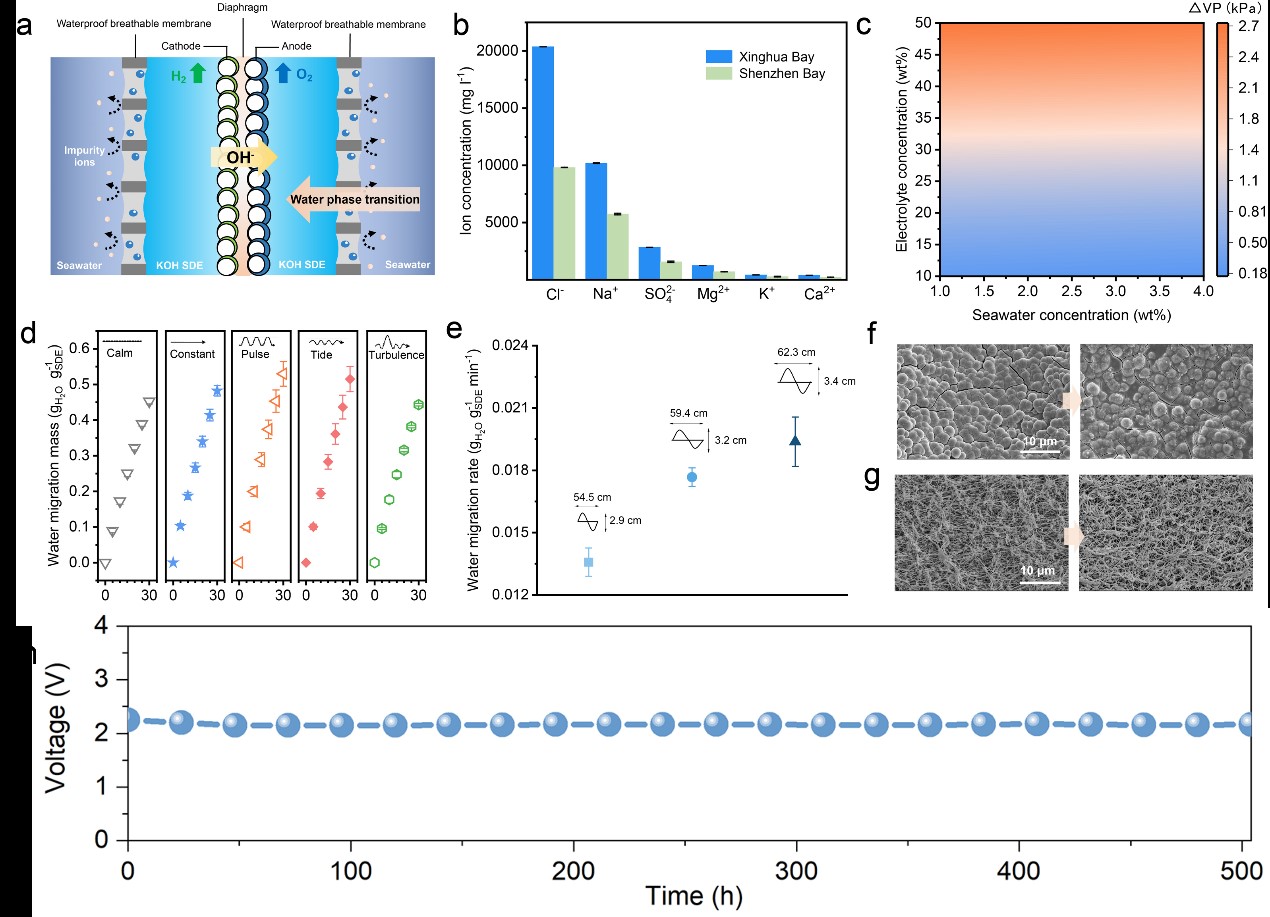 �й���888����(6008-VIP��֤)��վ-��¼���