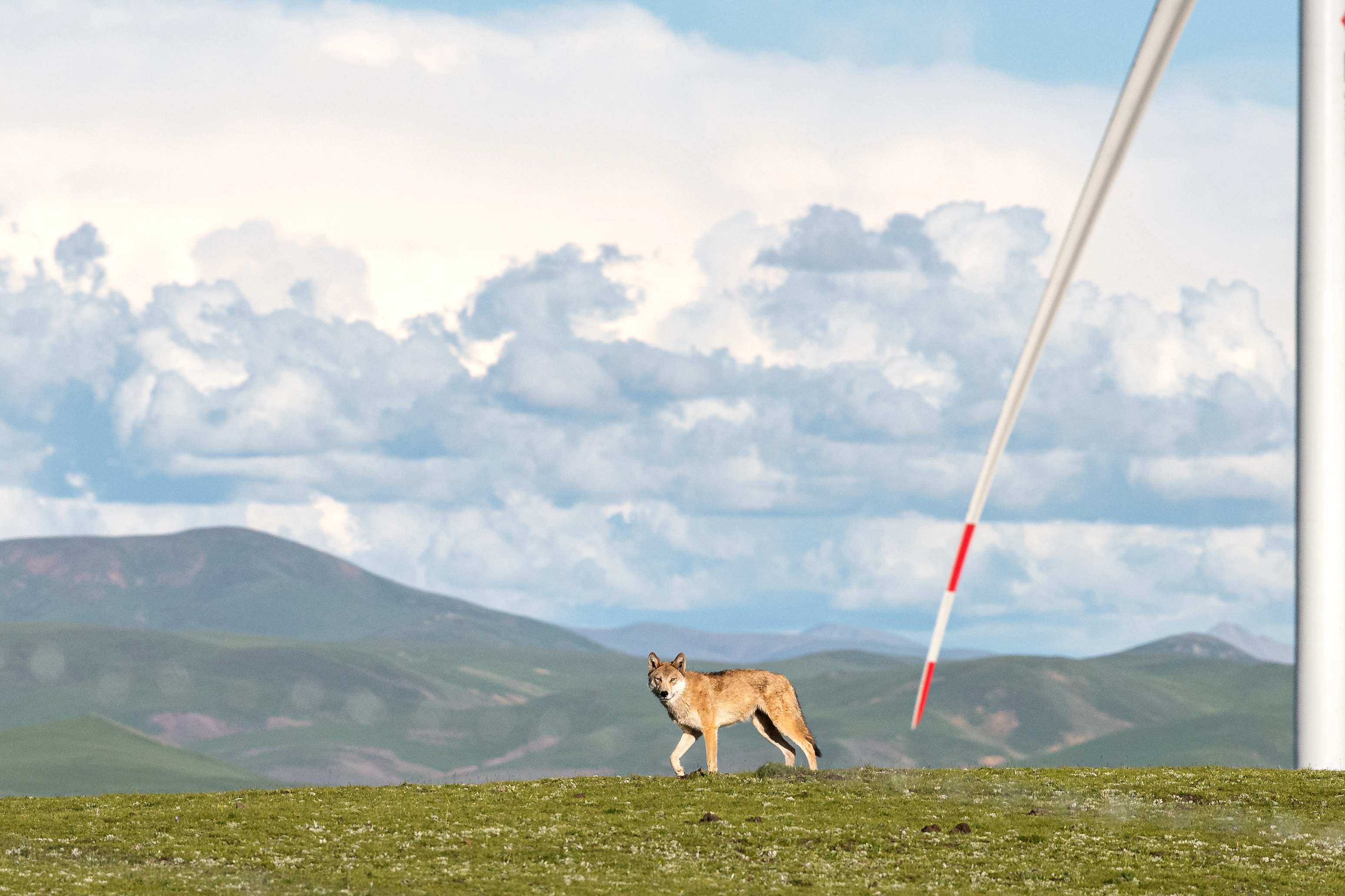 �й���888����(6008-VIP��֤)��վ-��¼���