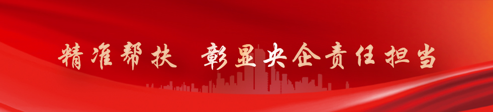 �й���888����(6008-VIP��֤)��վ-��¼���